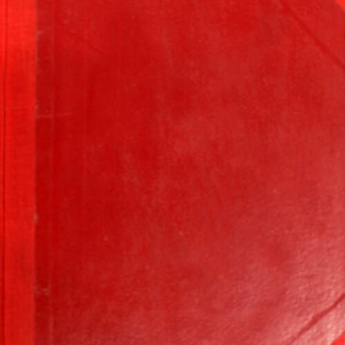 Sterlisation & I.U.C.D.Register (100 Pages)